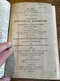 Edwards’s Botanical Register with colored etchings