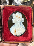 Museum quality 19th Century Cameo portrait in original case