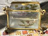 19th Century French Art Nouveau Glass Casket / Jewelry Box